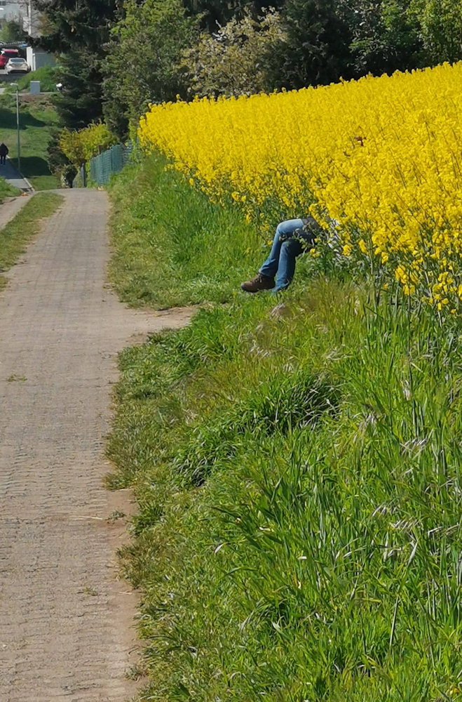 Raimund Rupp: Mann im Feld