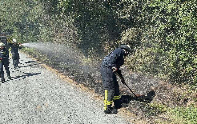 Feuerwehr Wallau bei Vegetationsbrand