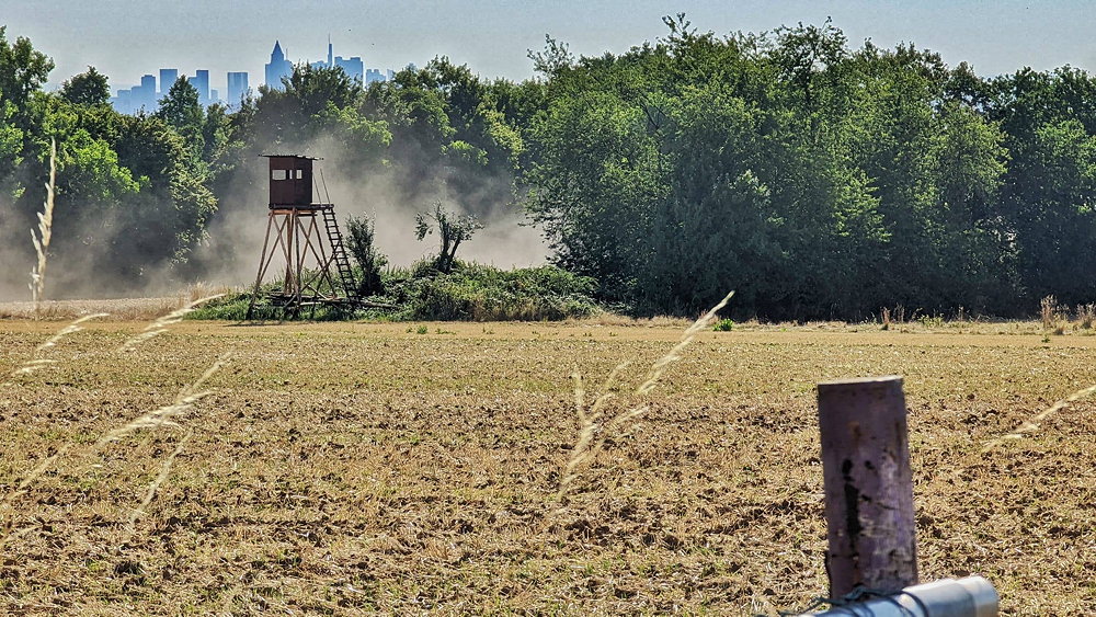 Raimund Rupp: Die Großstadt im Blick
