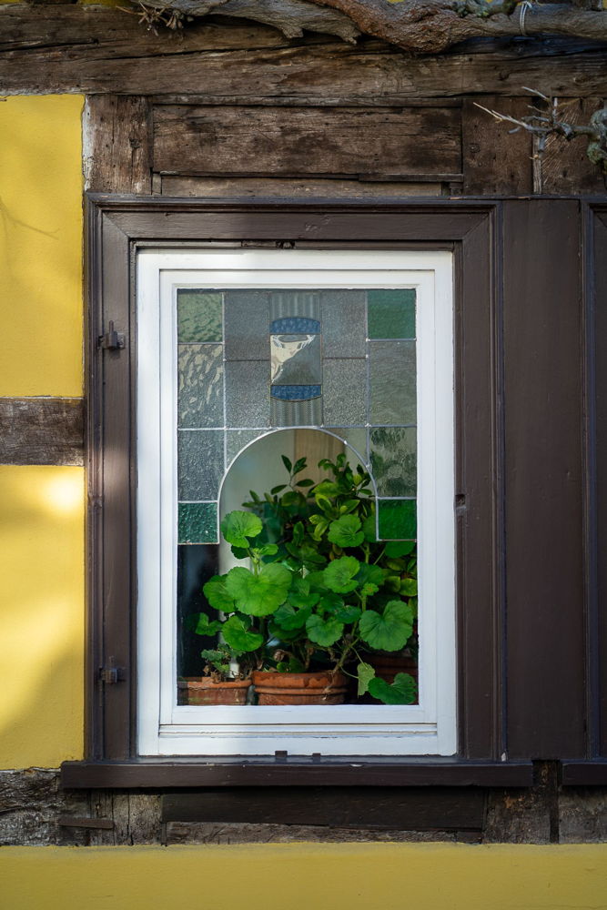 Ramin Mohabat Fenster