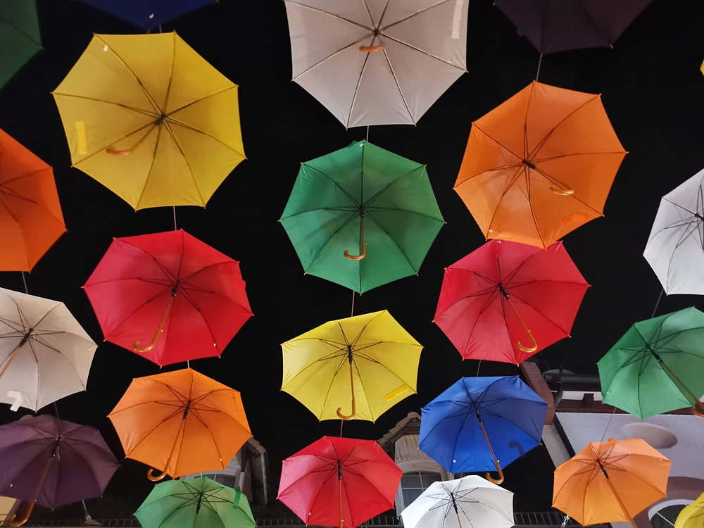 Raimund Rupp: Gut beschirmt