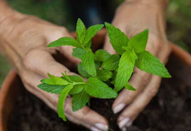Energieberatung auf dem Wochenmarkt