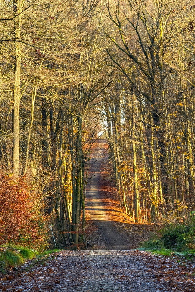 Raimund Rupp: Endlos