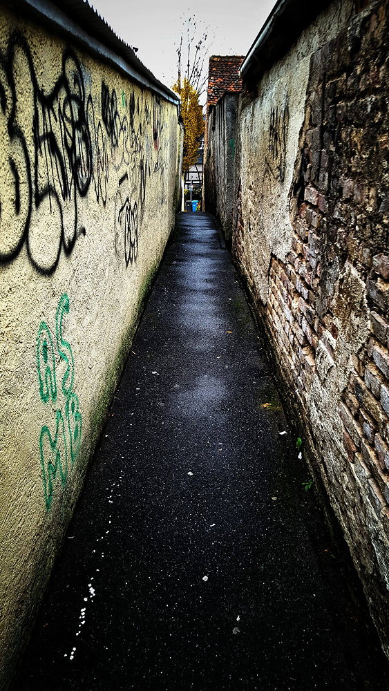 Raimund Rupp: Durch diese Gasse