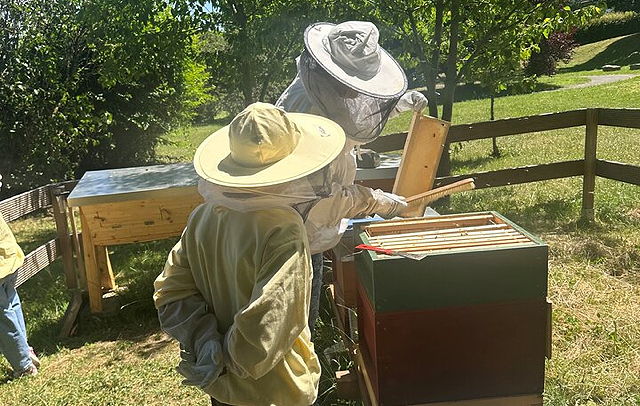 Honigpresse für Bienen-AG im Vincenzhaus